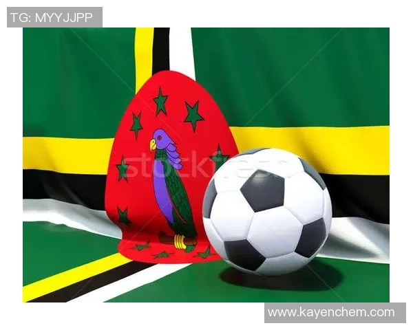 足球团队奖牌的荣耀与梦想探索团队合作的力量与成就感