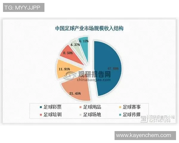 足球比赛罢赛背后的真相与影响分析探讨各方反应与未来发展趋势